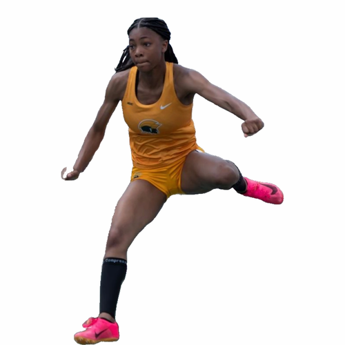 Brooklyn Robinson