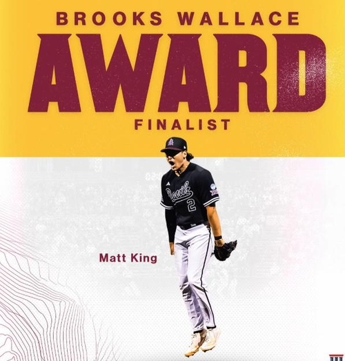 Matt King