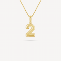 Gold Presidents Pendant and Chain - #2 Sadie Scott