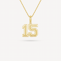 Gold Presidents Pendant and Chain - #15 Carter Wesson