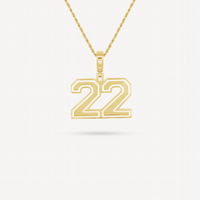 Gold Presidents Pendant and Chain - #22 Lilly Stump