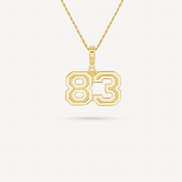 Gold Presidents Pendant and Chain - #83 Mason Grove