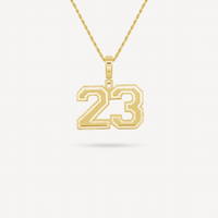 Gold Presidents Pendant and Chain - #23 Rocco DeMarinis