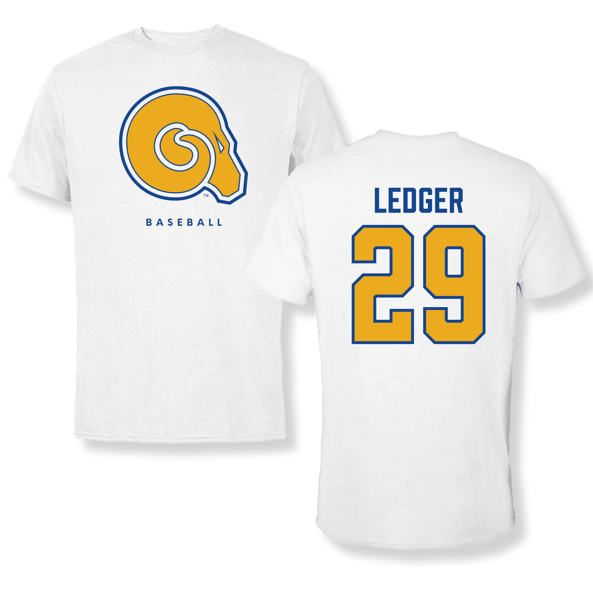 Albany State University Baseball White Performance Tee - #29 Chase Ledger