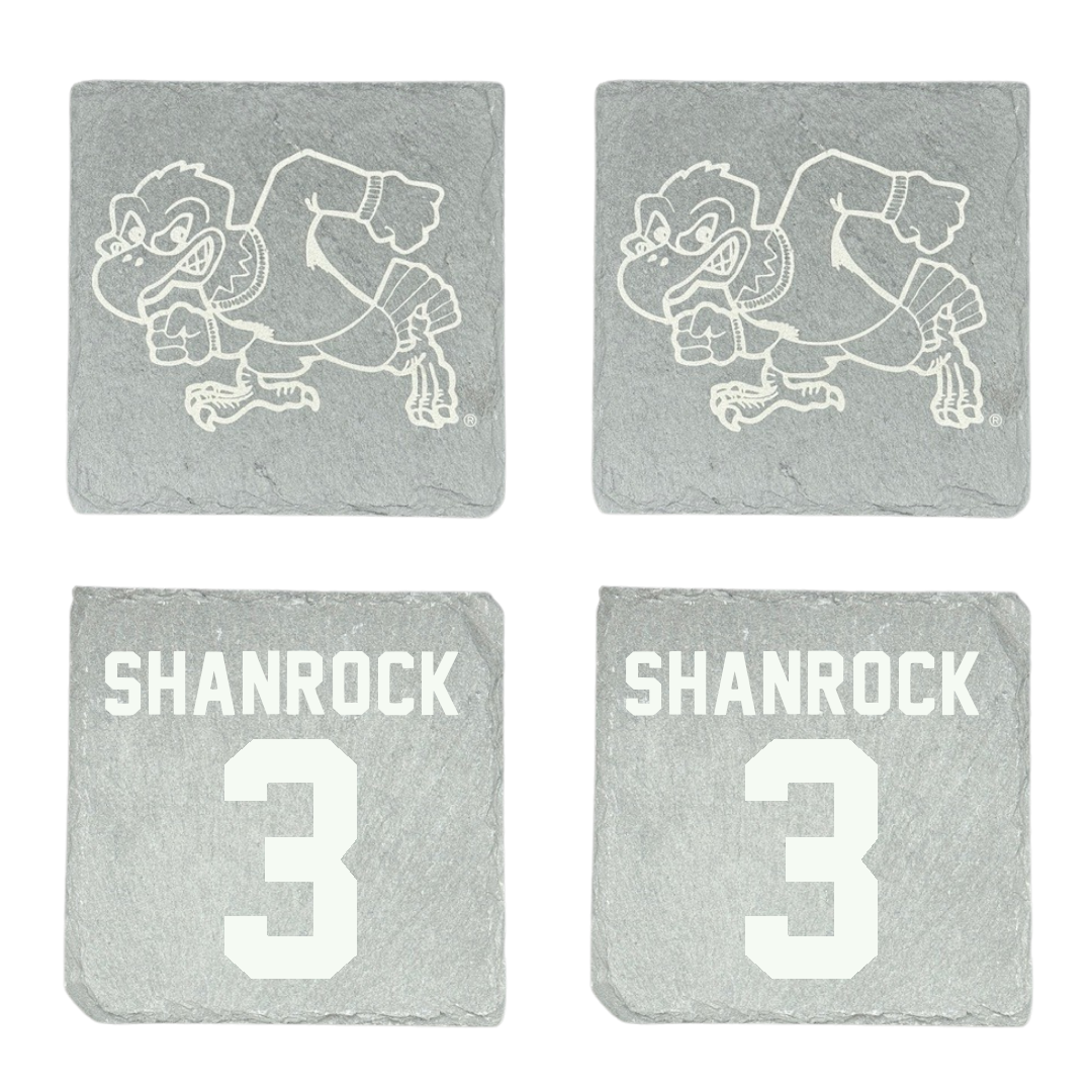 Dickinson State University Basketball Stone Coaster (4 Pack)  - #3 Anhelica Shanrock
