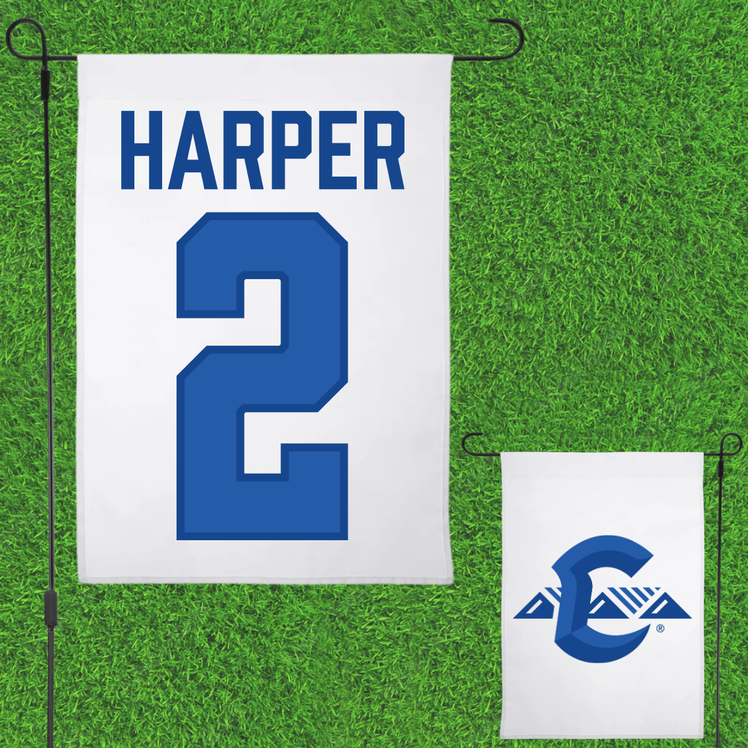 Image of the product