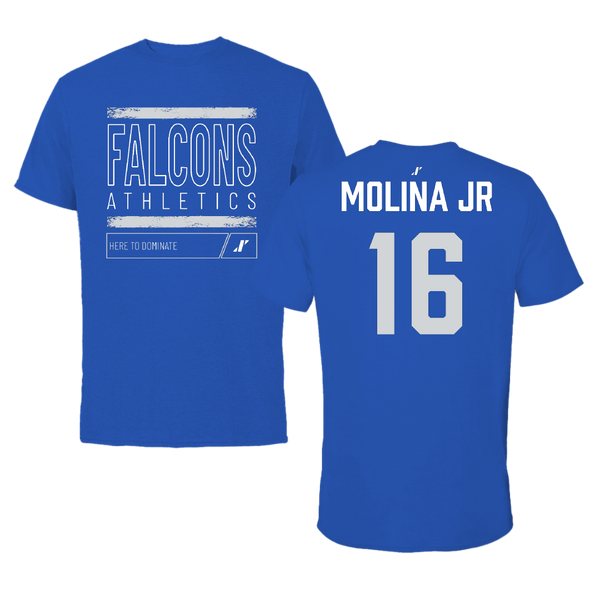 Updated image description