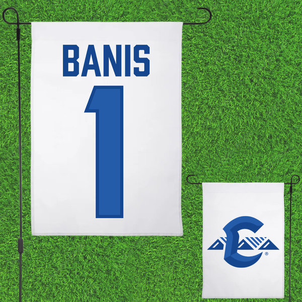 Image of the product