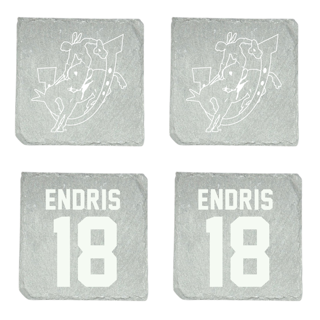 Southern Arkansas University Softball Stone Coaster (4 Pack)  - #18 Paris Endris