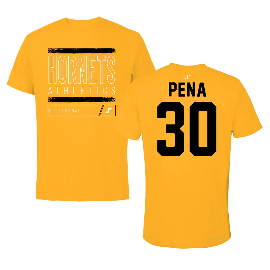 Alabama State University Baseball Gold Dominate Tee - #30 Esaid Pena