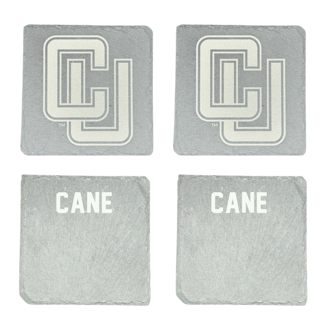 Clarkson University Alpine Skiing Stone Coaster (4 Pack)  - Marco Cane
