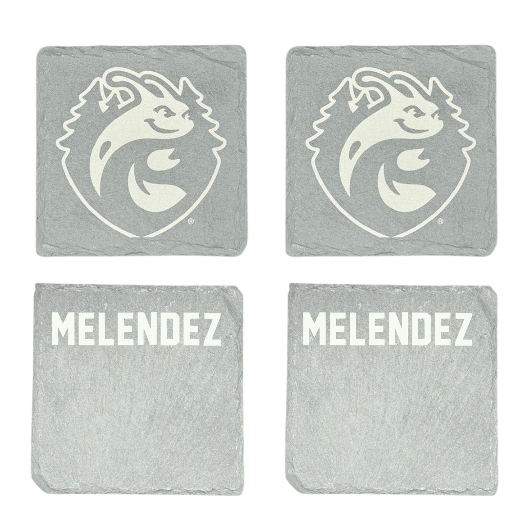 University of California-Santa Cruz Tennis Stone Coaster (4 Pack)  - Rocco Melendez