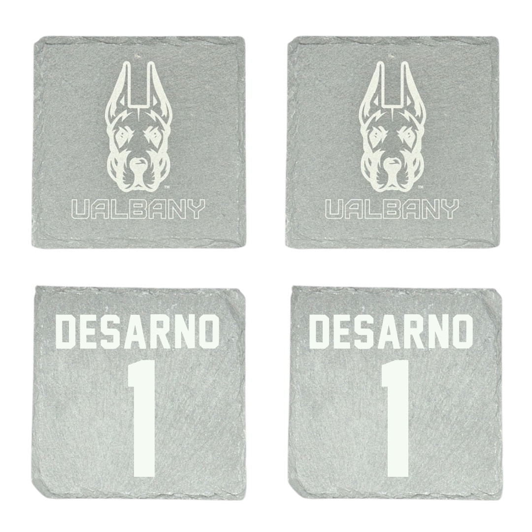 University at Albany Baseball Stone Coaster (4 Pack)  - #1 Patrick DeSarno