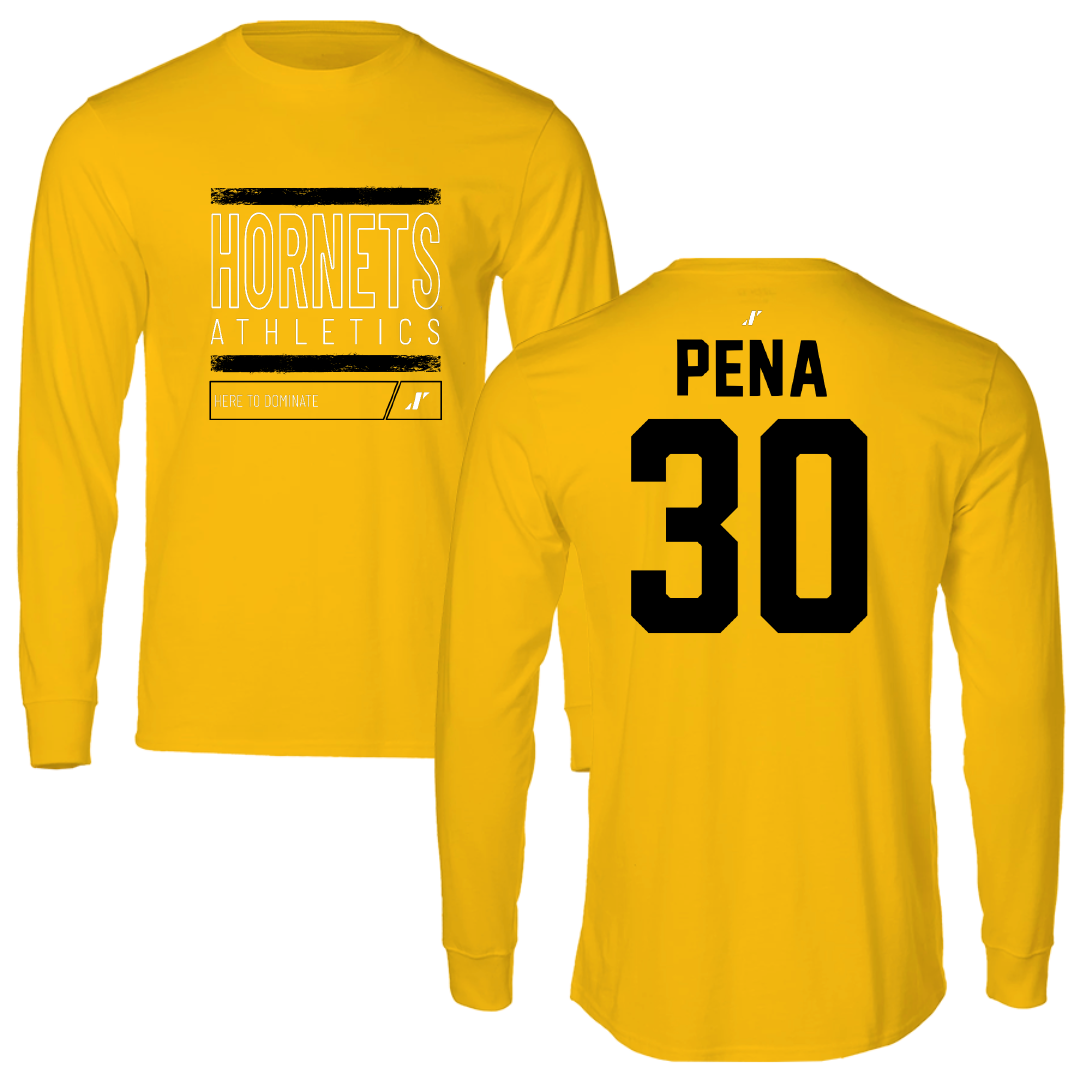 Alabama State University Baseball Gold Dominate Long Sleeve - #30 Esaid Pena